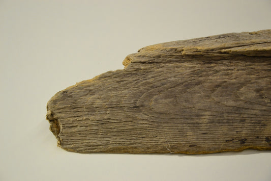 Holzstück